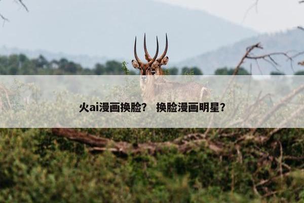 火ai漫画换脸？ 换脸漫画明星？