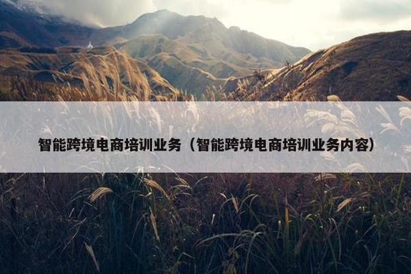 智能跨境电商培训业务（智能跨境电商培训业务内容）