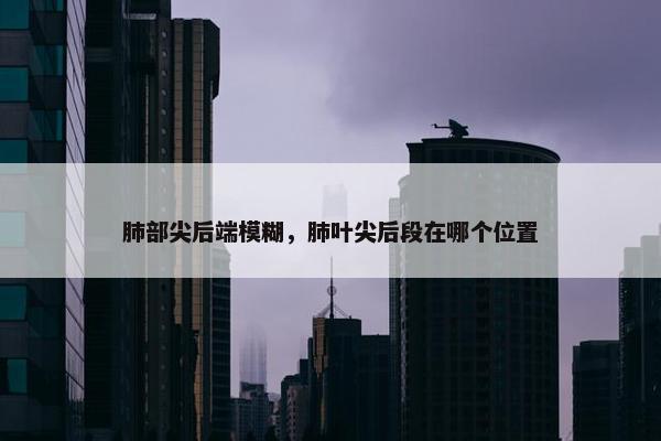 肺部尖后端模糊，肺叶尖后段在哪个位置