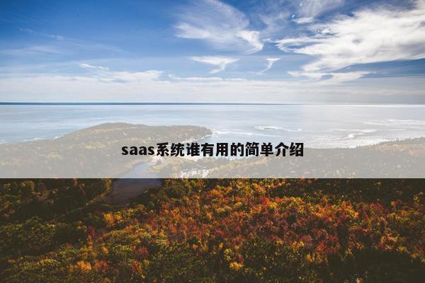 saas系统谁有用的简单介绍