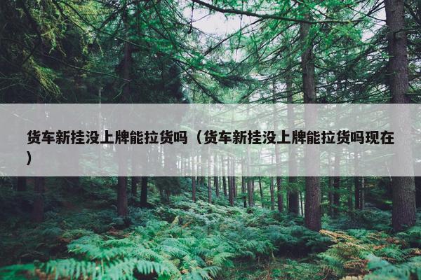 货车新挂没上牌能拉货吗（货车新挂没上牌能拉货吗现在）