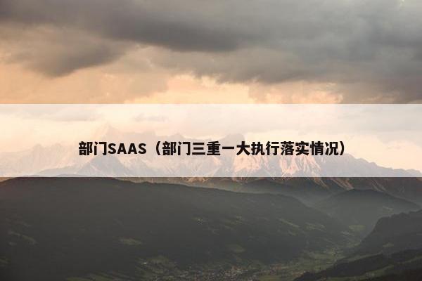 部门SAAS（部门三重一大执行落实情况）