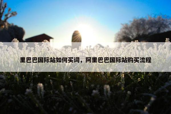 里巴巴国际站如何买词,阿里巴巴国际站购买流程