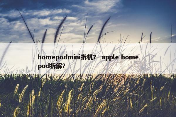 homepodmini拆机? apple homepod拆解?