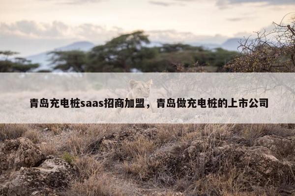 青岛充电桩saas招商加盟，青岛做充电桩的上市公司