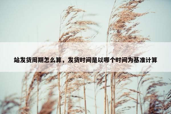 站发货周期怎么算，发货时间是以哪个时间为基准计算