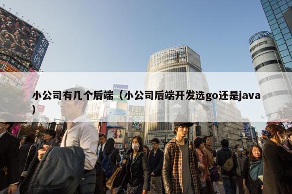 小公司有几个后端(小公司后端开发选go还是java) 小公司有几个后端(小公司后端开发选go还是java)