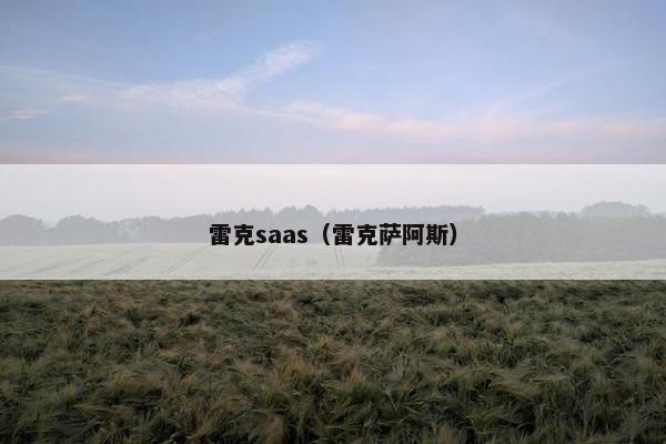 雷克saas（雷克萨阿斯）