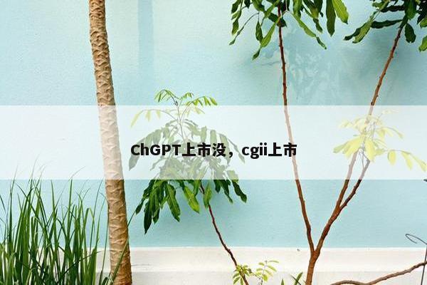 ChGPT上市没,cgii上市 ChGPT上市没,cgii上市