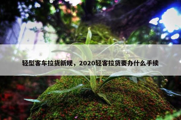 轻型客车拉货新规,2020轻客拉货要办什么手续