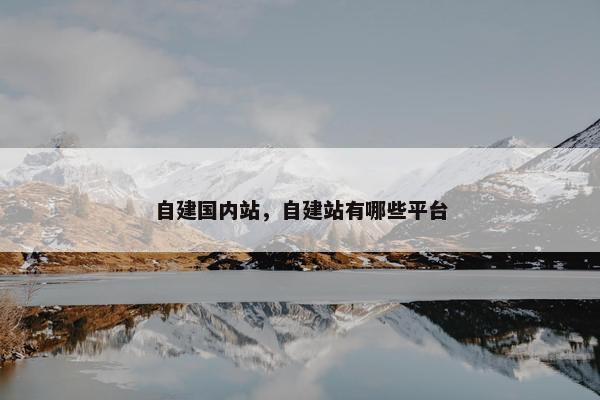 自建国内站,自建站有哪些平台
