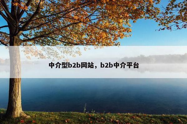 中介型b2b网站，b2b中介平台