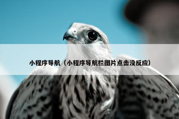 小程序导航(小程序导航栏图片点击没反应)