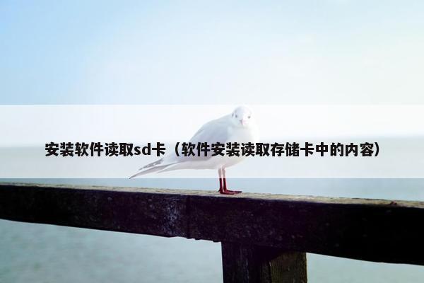 安装软件读取sd卡（软件安装读取存储卡中的内容）