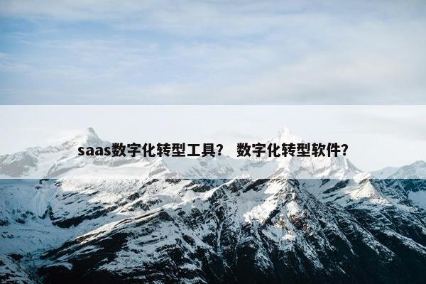 saas数字化转型工具？ 数字化转型软件？