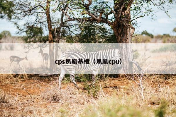 cps凤凰基板(凤凰cpu)