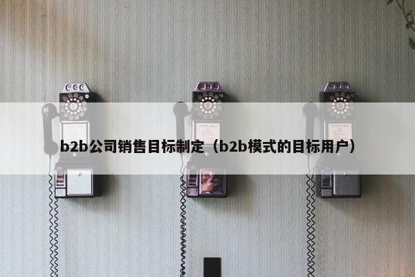 b2b公司销售目标制定(b2b模式的目标用户) b2b公司销售目标制定(b2b模式的目标用户)