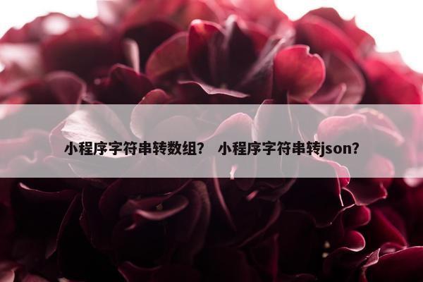 小程序字符串转数组? 小程序字符串转json?