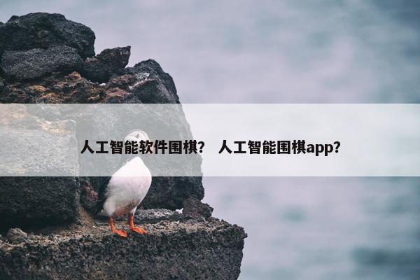 人工智能软件围棋？ 人工智能围棋app？