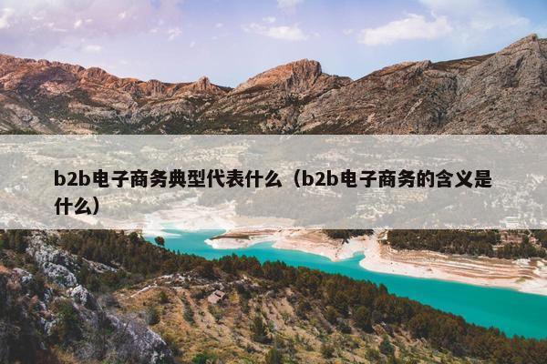 b2b电子商务典型代表什么(b2b电子商务的含义是什么) b2b电子商务典型代表什么(b2b电子商务的含义是什么)