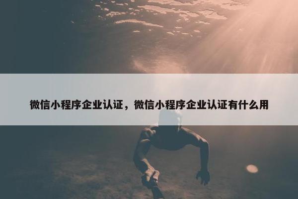 微信小程序企业认证,微信小程序企业认证有什么用
