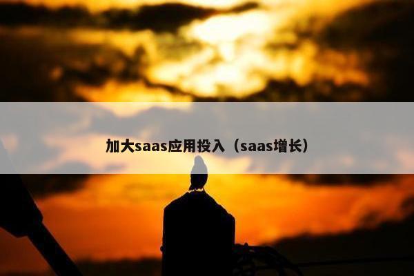 加大saas应用投入（saas增长）