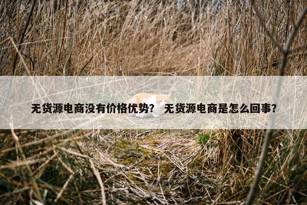 无货源电商没有价格优势？ 无货源电商是怎么回事？
