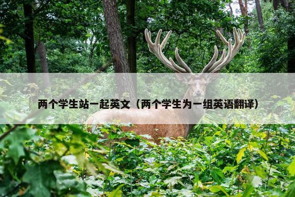 两个学生站一起英文（两个学生为一组英语翻译）