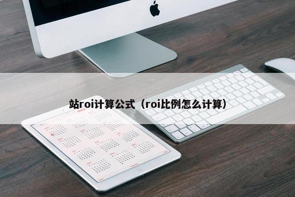 站roi计算公式（roi比例怎么计算）