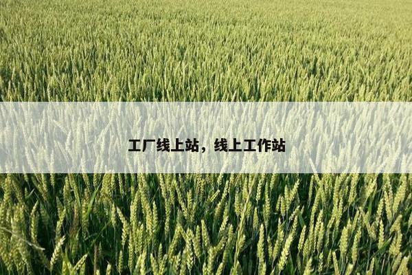 工厂线上站,线上工作站