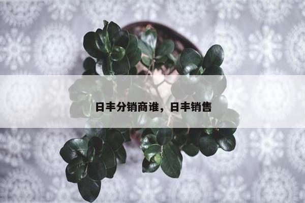日丰分销商谁,日丰销售