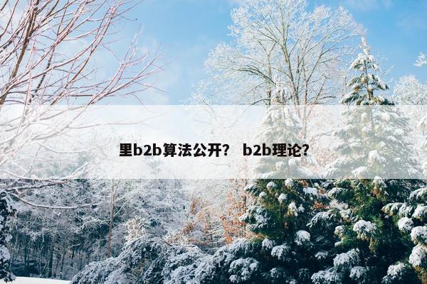 里b2b算法公开？ b2b理论？