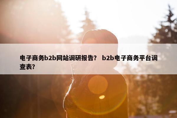 电子商务b2b网站调研报告？ b2b电子商务平台调查表？