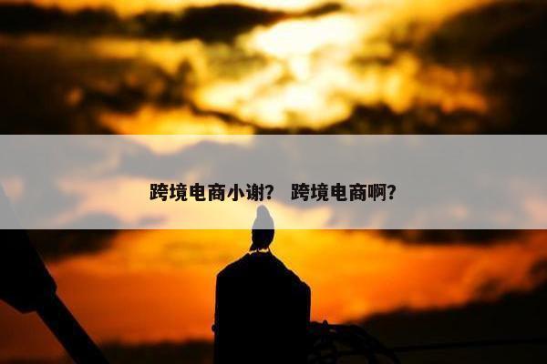 跨境电商小谢？ 跨境电商啊？