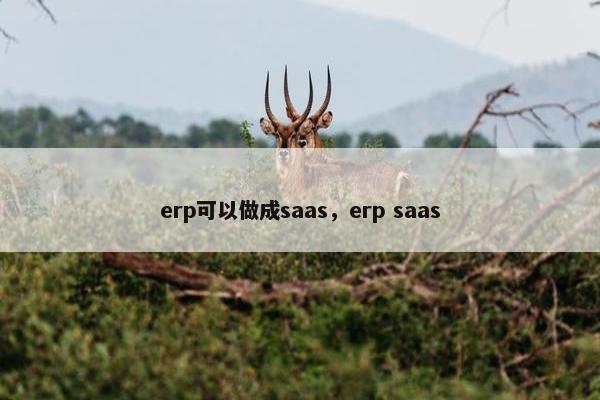 erp可以做成saas,erp saas
