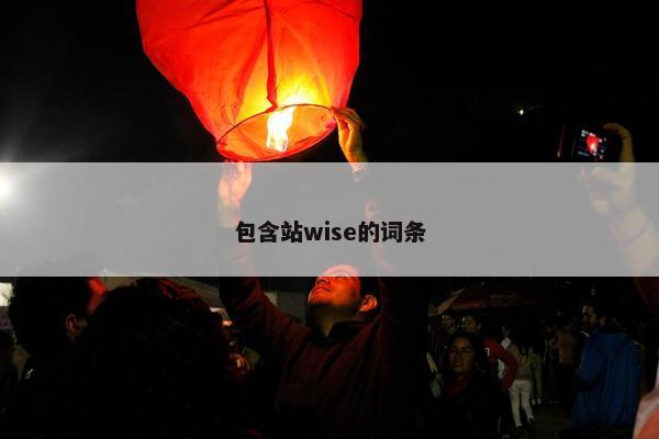 包含站wise的词条