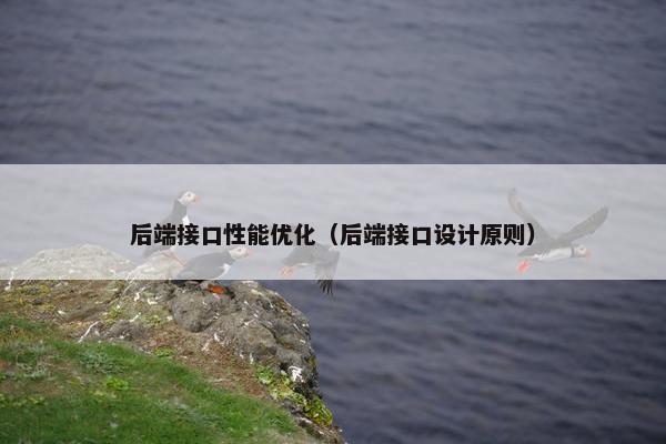 后端接口性能优化（后端接口设计原则）