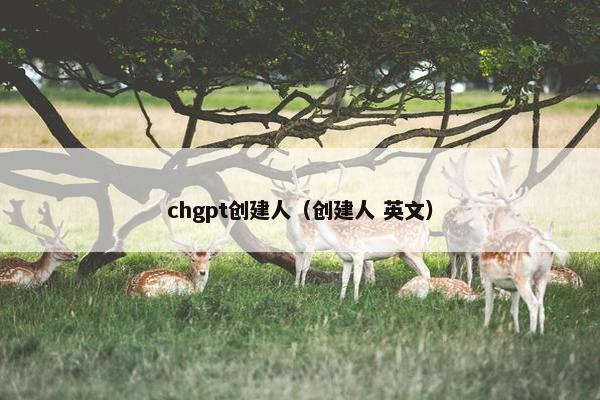 chgpt创建人(创建人 英文)