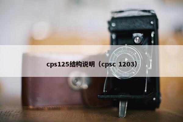 cps125结构说明(cpsc 1203)