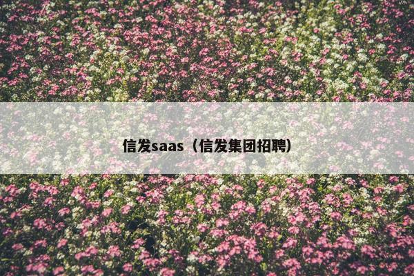 信发saas(信发集团招聘)