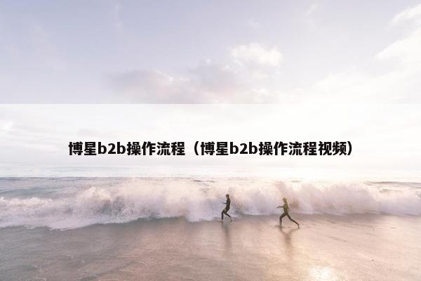 博星b2b操作流程(博星b2b操作流程视频)