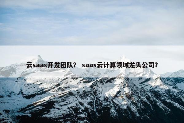 云saas开发团队? saas云计算领域龙头公司?