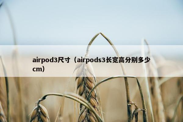 airpod3尺寸（airpods3长宽高分别多少cm）