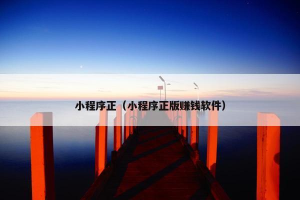 小程序正(小程序正版赚钱软件)