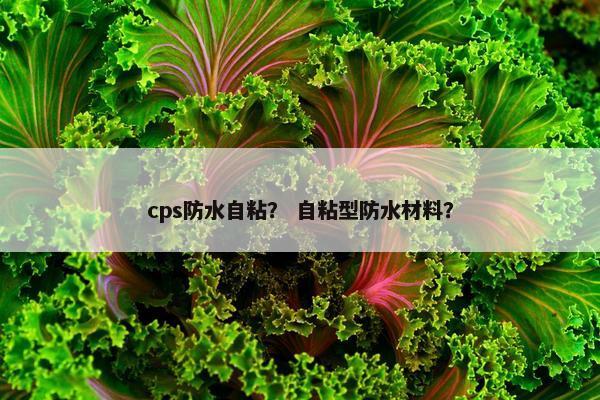 cps防水自粘？ 自粘型防水材料？