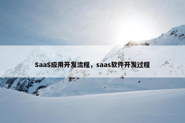 SaaS应用开发流程,saas软件开发过程