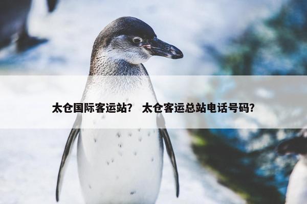 太仓国际客运站？ 太仓客运总站电话号码？