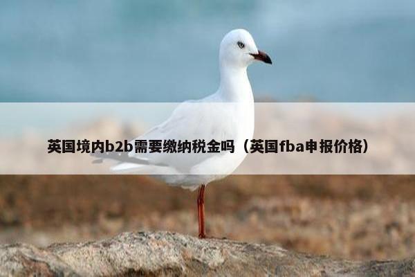 英国境内b2b需要缴纳税金吗(英国fba申报价格) 英国境内b2b需要缴纳税金吗(英国fba申报价格)