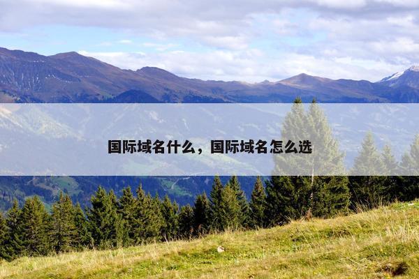 国际域名什么,国际域名怎么选 国际域名什么,国际域名怎么选