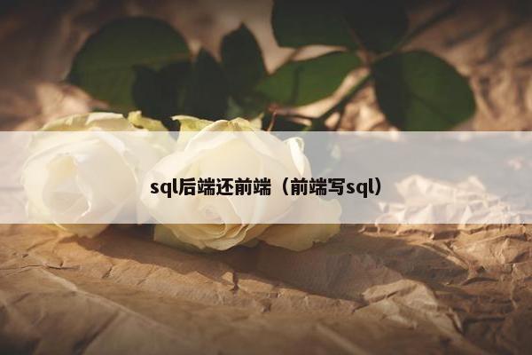 sql后端还前端(前端写sql)